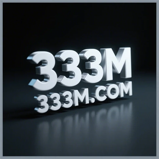 333m.com